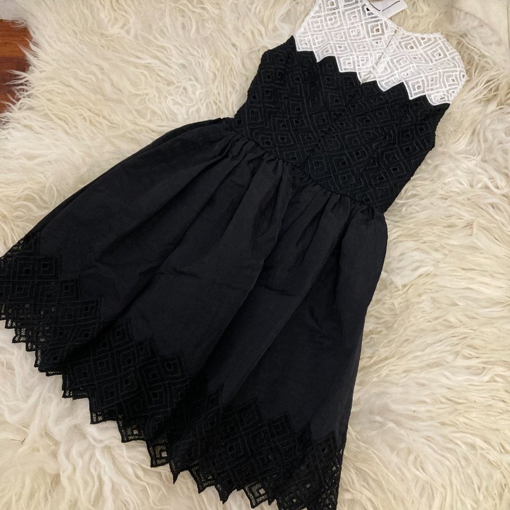 SANDRO Black & White Sleeveless Crochet Fit & Flare Dress - Picture 13 of 15